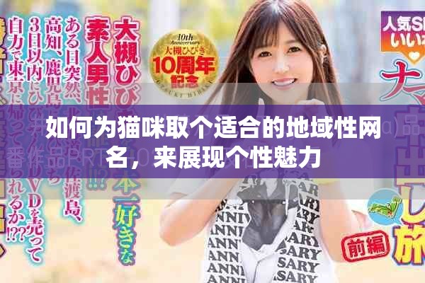 如何为猫咪取个适合的地域性网名，来展现个性魅力