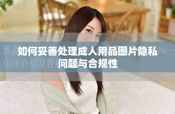 如何妥善处理成人用品图片隐私问题与合规性