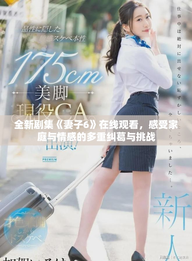 全新剧集《妻子6》在线观看，感受家庭与情感的多重纠葛与挑战
