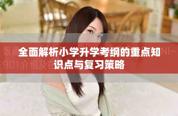 全面解析小学升学考纲的重点知识点与复习策略