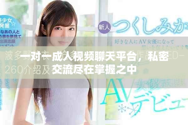 一对一成人视频聊天平台，私密交流尽在掌握之中