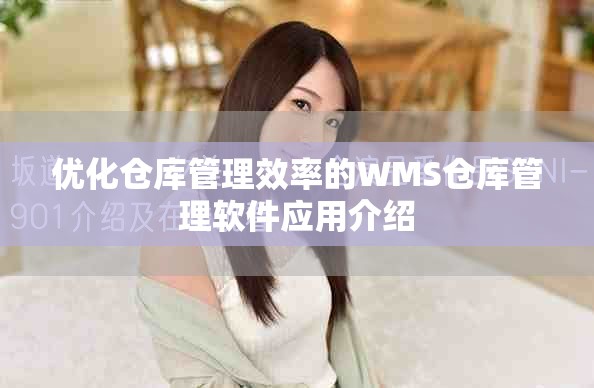 优化仓库管理效率的WMS仓库管理软件应用介绍