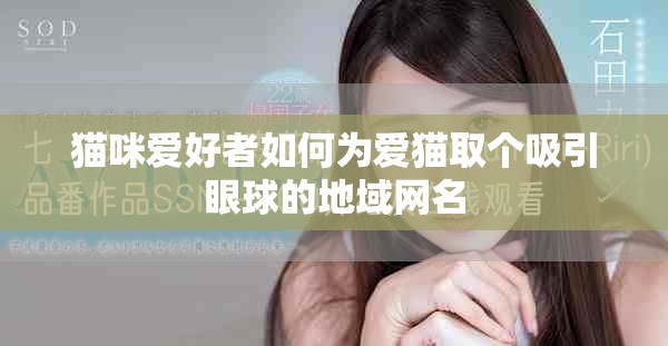 猫咪爱好者如何为爱猫取个吸引眼球的地域网名