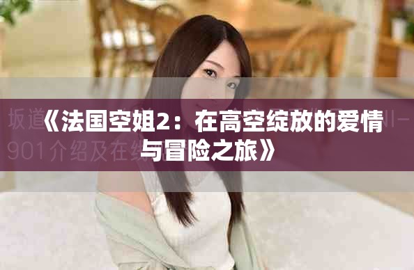 《法国空姐2：在高空绽放的爱情与冒险之旅》