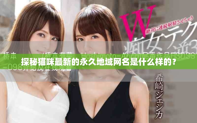探秘猫咪最新的永久地域网名是什么样的？