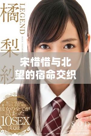 宋惜惜与北望的宿命交织全篇免费阅读无广告干扰