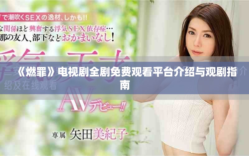 《燃罪》电视剧全剧免费观看平台介绍与观剧指南