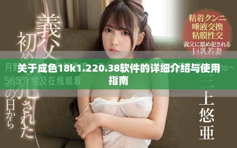 关于成色18k1.220.38软件的详细介绍与使用指南