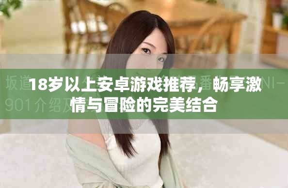 18岁以上安卓游戏推荐，畅享激情与冒险的完美结合