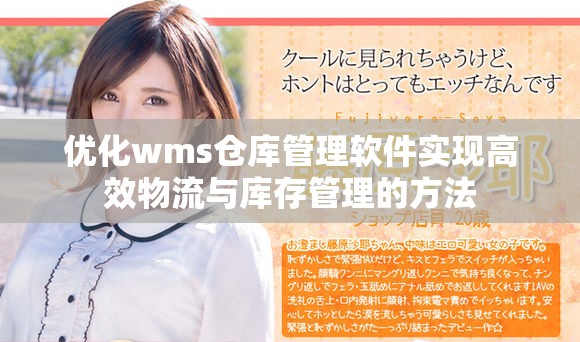 优化wms仓库管理软件实现高效物流与库存管理的方法