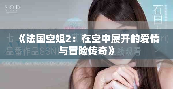 《法国空姐2：在空中展开的爱情与冒险传奇》