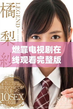 燃罪电视剧在线观看完整版全剧无删减精彩呈现