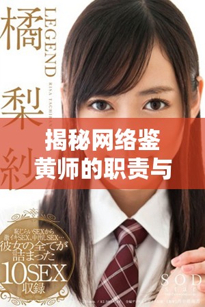 揭秘网络鉴黄师的职责与挑战，保护内容安全的重要性