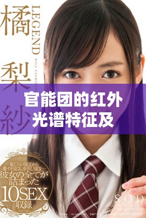 官能团的红外光谱特征及波峰分析方法探讨