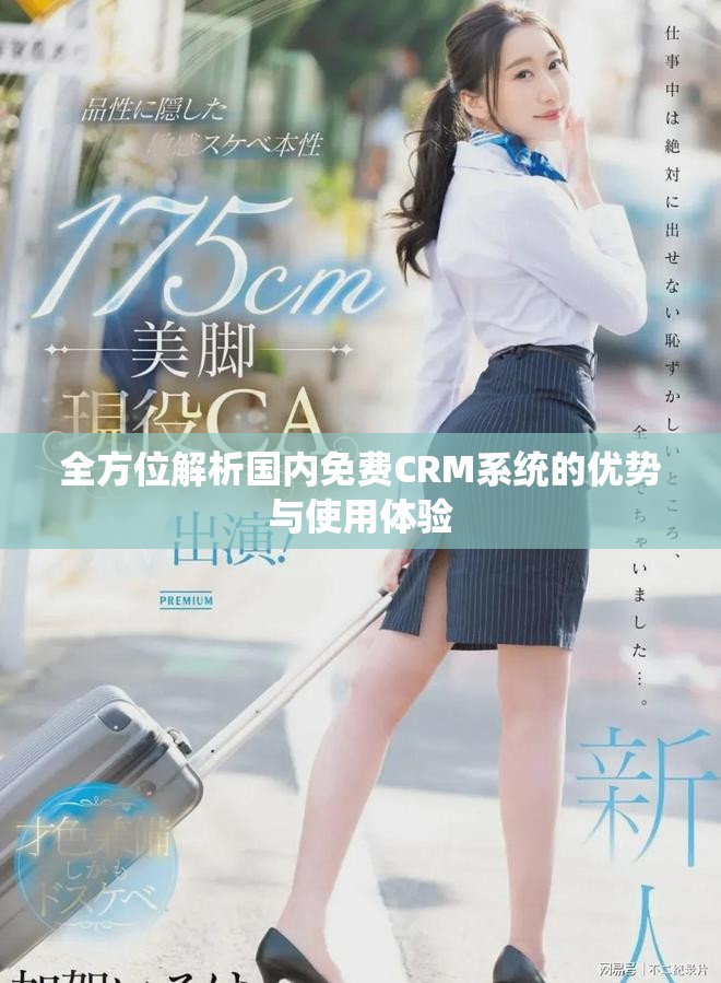 全方位解析国内免费CRM系统的优势与使用体验