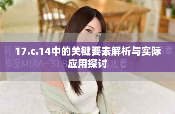 17.c.14中的关键要素解析与实际应用探讨