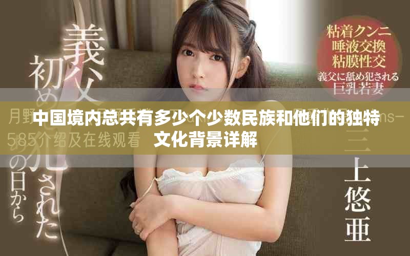 中国境内总共有多少个少数民族和他们的独特文化背景详解