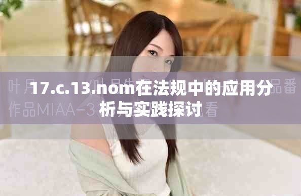 17.c.13.nom在法规中的应用分析与实践探讨