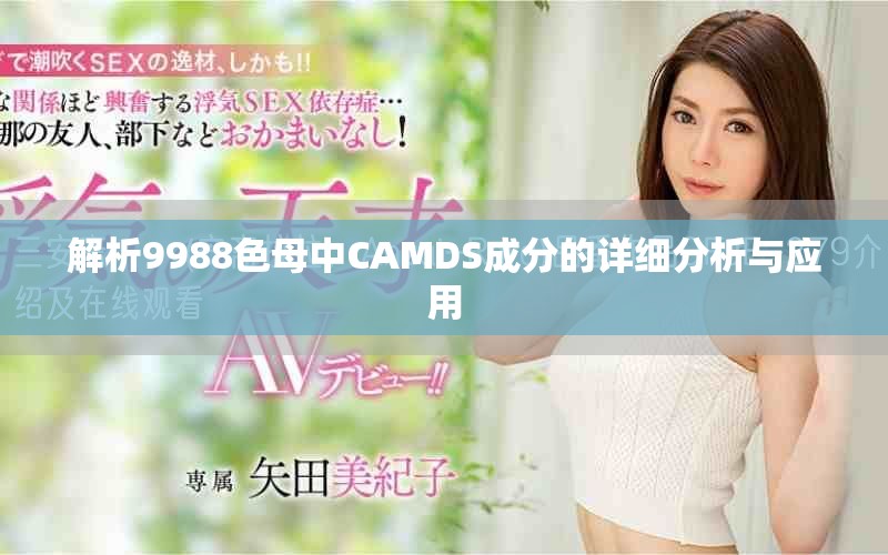 解析9988色母中CAMDS成分的详细分析与应用