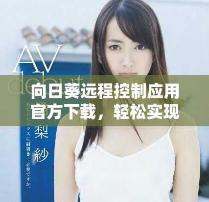 向日葵远程控制应用官方下载，轻松实现跨设备远程管理体验