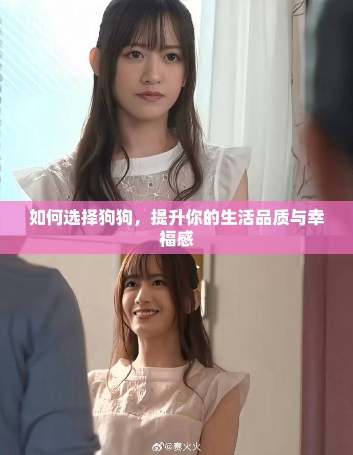 如何选择狗狗，提升你的生活品质与幸福感