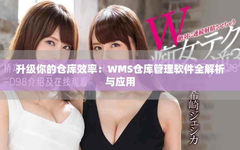 升级你的仓库效率：WMS仓库管理软件全解析与应用