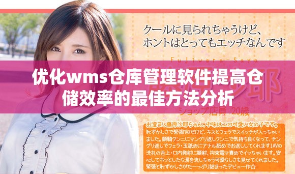 优化wms仓库管理软件提高仓储效率的最佳方法分析