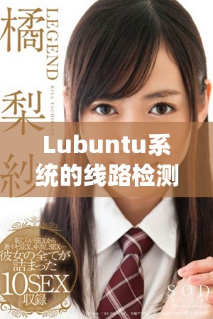 Lubuntu系统的线路检测方法与实践探索详解
