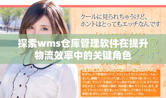 探索wms仓库管理软件在提升物流效率中的关键角色