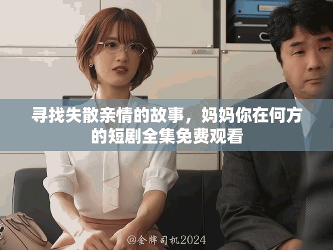 寻找失散亲情的故事，妈妈你在何方的短剧全集免费观看