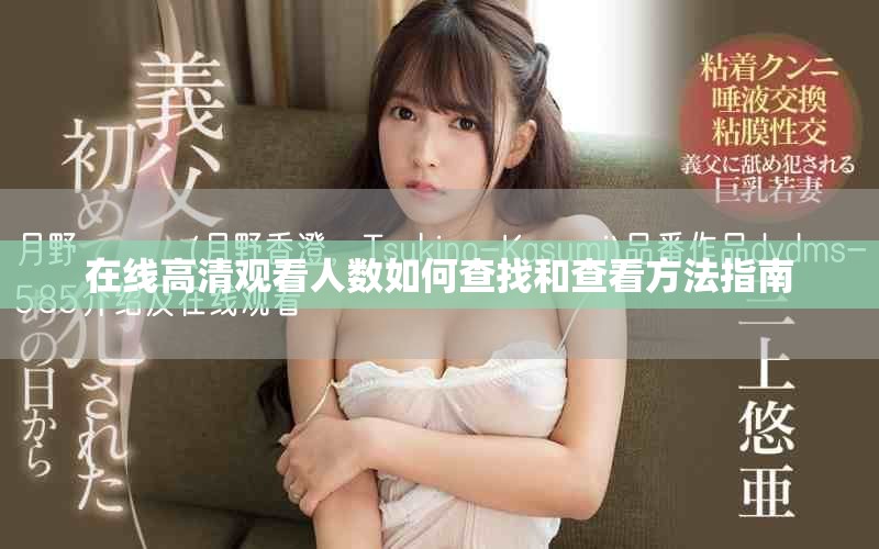 在线高清观看人数如何查找和查看方法指南