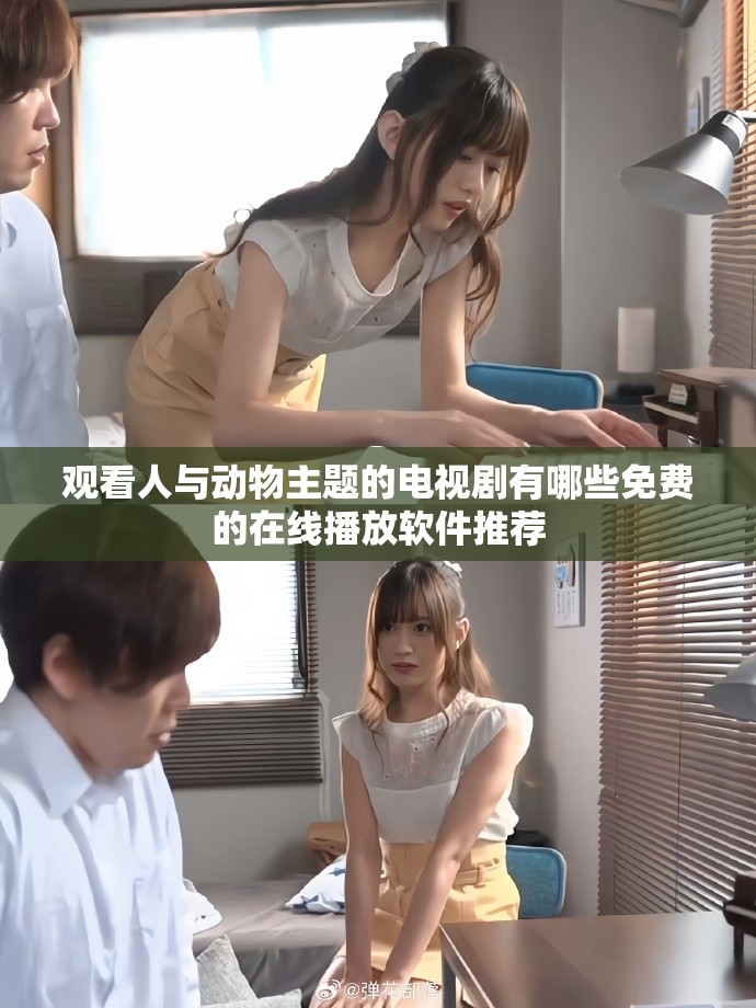 观看人与动物主题的电视剧有哪些免费的在线播放软件推荐