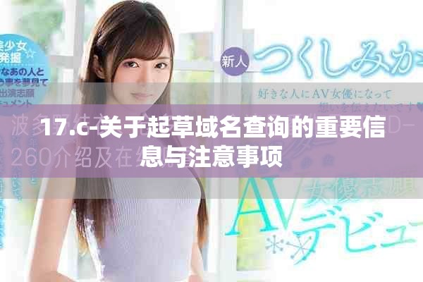 17.c-关于起草域名查询的重要信息与注意事项