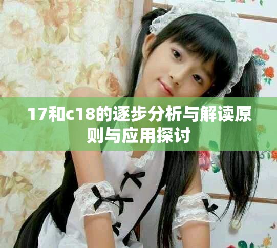 17和c18的逐步分析与解读原则与应用探讨