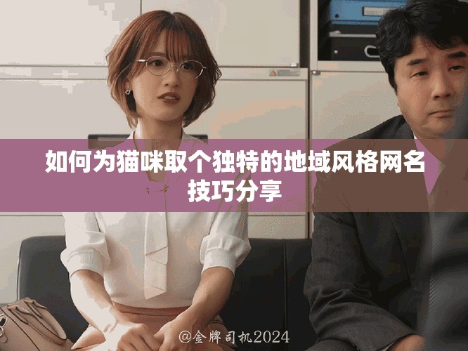 如何为猫咪取个独特的地域风格网名技巧分享