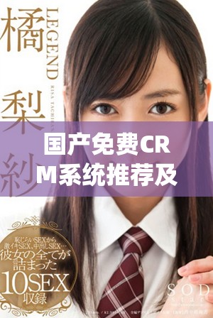 国产免费CRM系统推荐及其在线使用特点分析