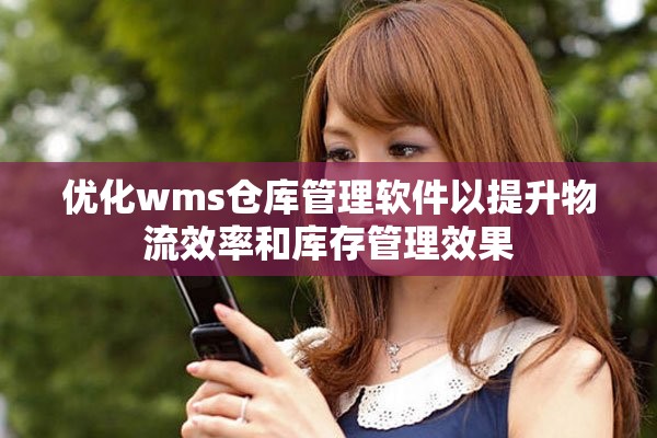优化wms仓库管理软件以提升物流效率和库存管理效果