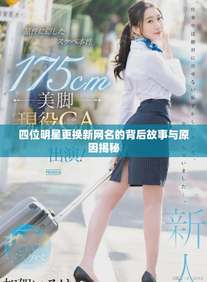 四位明星更换新网名的背后故事与原因揭秘