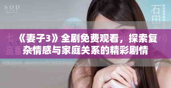 《妻子3》全剧免费观看，探索复杂情感与家庭关系的精彩剧情