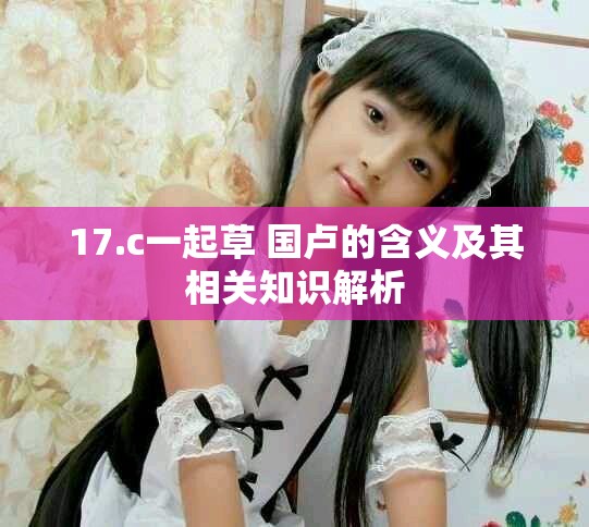 17.c一起草 国卢的含义及其相关知识解析