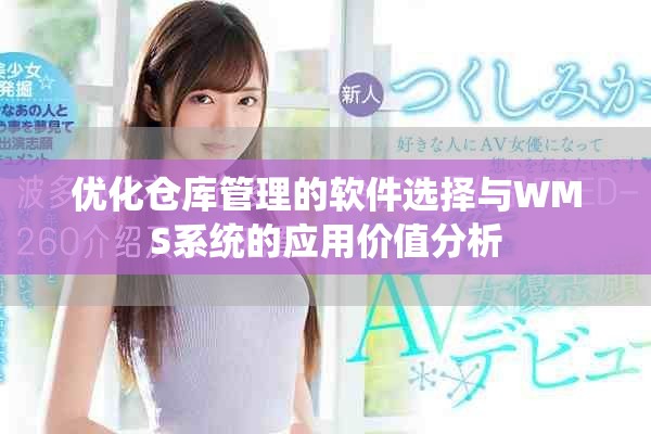 优化仓库管理的软件选择与WMS系统的应用价值分析