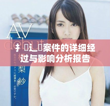 扌喿辶畐案件的详细经过与影响分析报告