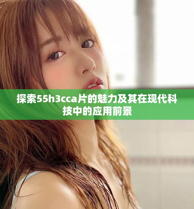 探索55h3cca片的魅力及其在现代科技中的应用前景