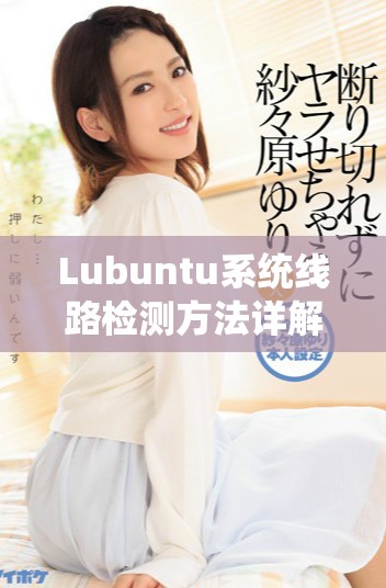 Lubuntu系统线路检测方法详解与注意事项分享