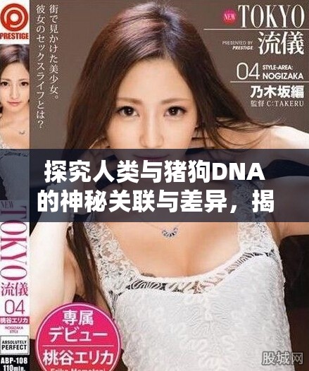探究人类与猪狗DNA的神秘关联与差异，揭开生命进化之谜