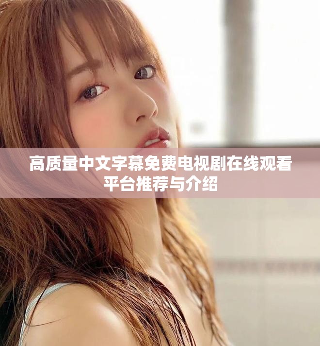高质量中文字幕免费电视剧在线观看平台推荐与介绍