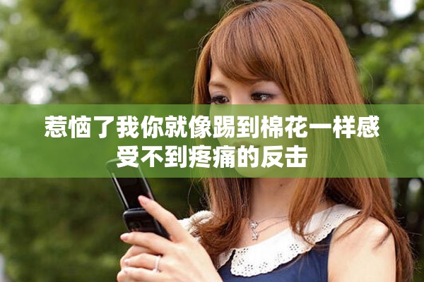 惹恼了我你就像踢到棉花一样感受不到疼痛的反击