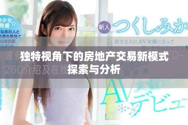 独特视角下的房地产交易新模式探索与分析