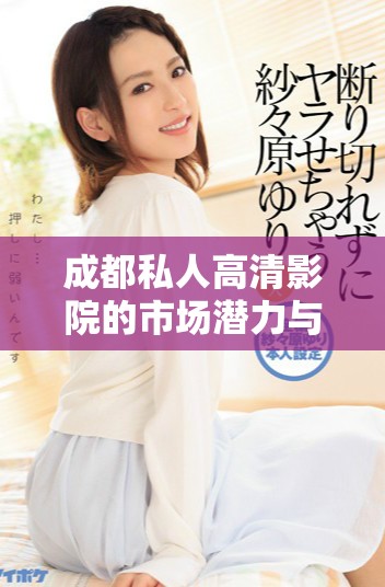 成都私人高清影院的市场潜力与未来发展趋势研究分析