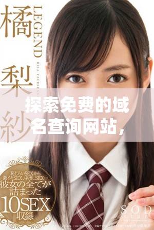探索免费的域名查询网站，轻松找到理想域名